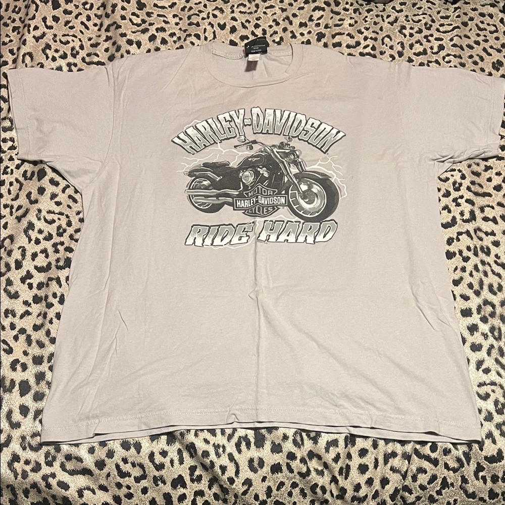 Harley-Davidson Gray Ride Hard T-Shirt